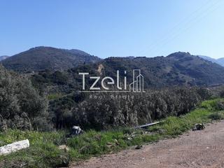 Οικόπεδο 742 τ.μ. για πώληση, Αχαΐα, Μεσσατίδα-thumb-8