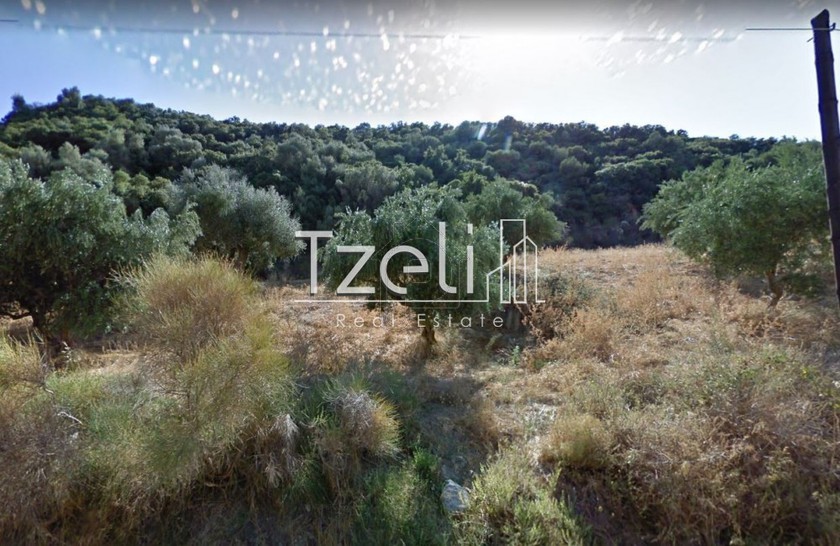 Land plot 12.500 sqm for sale