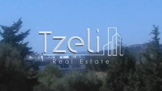 Οικόπεδο 12.500 τ.μ. για πώληση, Αχαΐα, Μεσσατίδα-thumb-13