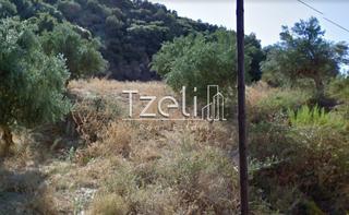Οικόπεδο 12.500 τ.μ. για πώληση, Αχαΐα, Μεσσατίδα-thumb-20