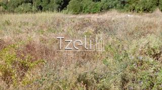 Οικόπεδο 12.500 τ.μ. για πώληση, Αχαΐα, Μεσσατίδα-thumb-23