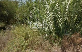 Οικόπεδο 732 τ.μ. για πώληση, Αχαΐα, Πάτρα-thumb-9