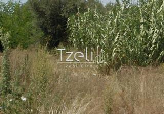 Οικόπεδο 732 τ.μ. για πώληση, Αχαΐα, Πάτρα-thumb-11