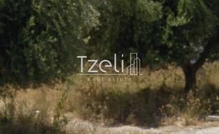 Οικόπεδο 732 τ.μ. για πώληση, Αχαΐα, Πάτρα-thumb-18