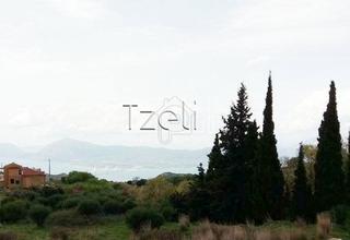 Οικόπεδο 1.352 τ.μ. για πώληση, Αχαΐα, Ρίο-thumb-6