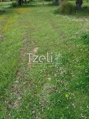 Οικόπεδο 1.352 τ.μ. για πώληση, Αχαΐα, Ρίο-thumb-14