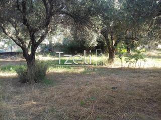 Οικόπεδο 2.300 τ.μ. για πώληση, Αχαΐα, Μεσσατίδα-thumb-1