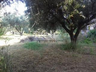 Οικόπεδο 2.300 τ.μ. για πώληση, Αχαΐα, Μεσσατίδα-thumb-4