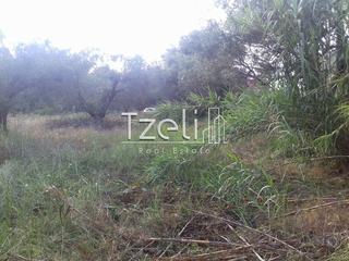 Οικόπεδο 2.300 τ.μ. για πώληση, Αχαΐα, Μεσσατίδα-thumb-5