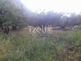 Οικόπεδο 2.300 τ.μ. για πώληση, Αχαΐα, Μεσσατίδα-thumb-8