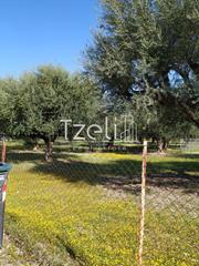 Οικόπεδο 2.300 τ.μ. για πώληση, Αχαΐα, Μεσσατίδα-thumb-10