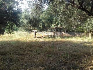 Οικόπεδο 2.300 τ.μ. για πώληση, Αχαΐα, Μεσσατίδα-thumb-11