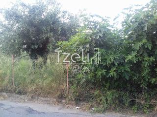 Οικόπεδο 1.300 τ.μ. για πώληση