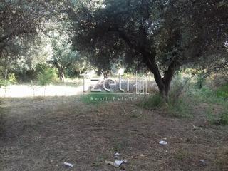 Οικόπεδο 1.300 τ.μ. για πώληση, Αχαΐα, Μεσσατίδα-thumb-3