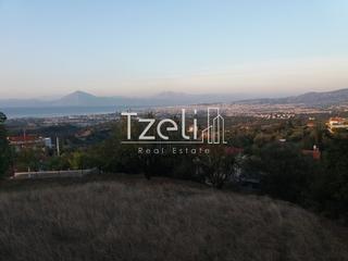 Οικόπεδο 1.090 τ.μ. για πώληση, Αχαΐα, Μεσσατίδα-thumb-2