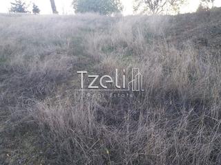 Οικόπεδο 1.090 τ.μ. για πώληση, Αχαΐα, Μεσσατίδα-thumb-19