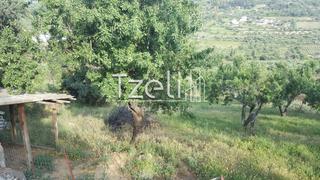 Οικόπεδο 2.949 τ.μ. για πώληση, Αχαΐα, Παραλία-thumb-1
