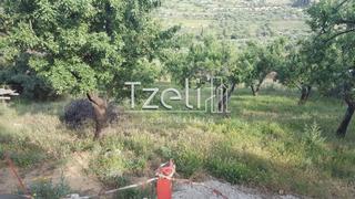 Οικόπεδο 2.949 τ.μ. για πώληση, Αχαΐα, Παραλία-thumb-2