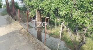 Οικόπεδο 2.949 τ.μ. για πώληση, Αχαΐα, Παραλία-thumb-7