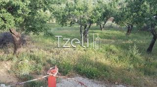 Οικόπεδο 2.949 τ.μ. για πώληση, Αχαΐα, Παραλία-thumb-12