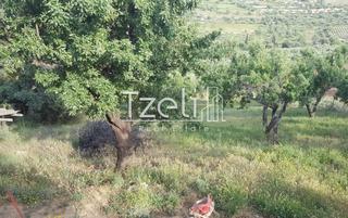 Οικόπεδο 2.949 τ.μ. για πώληση, Αχαΐα, Παραλία-thumb-14