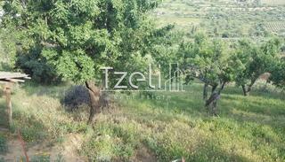 Οικόπεδο 2.949 τ.μ. για πώληση, Αχαΐα, Παραλία-thumb-15