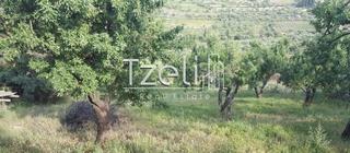 Οικόπεδο 2.949 τ.μ. για πώληση, Αχαΐα, Παραλία-thumb-22