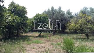 Οικόπεδο 452 τ.μ. για πώληση