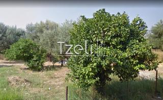 Οικόπεδο 452 τ.μ. για πώληση, Αχαΐα, Πάτρα-thumb-18