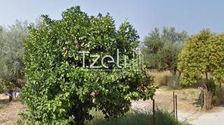 Οικόπεδο 452 τ.μ. για πώληση, Αχαΐα, Πάτρα-thumb-20