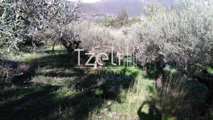 Land plot 2.000sqm for sale-Patra » Koukouli