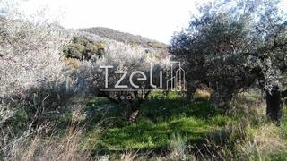 Οικόπεδο 2.000 τ.μ. για πώληση, Αχαΐα, Πάτρα-thumb-2