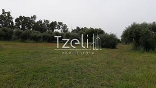 Οικόπεδο 2.350 τ.μ. για πώληση, Αχαΐα, Λάρισσος-thumb-2