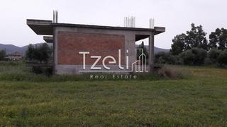 Οικόπεδο 2.350 τ.μ. για πώληση, Αχαΐα, Λάρισσος-thumb-6