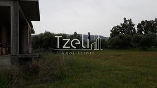 Οικόπεδο 2.350 τ.μ. για πώληση, Αχαΐα, Λάρισσος-thumb-9