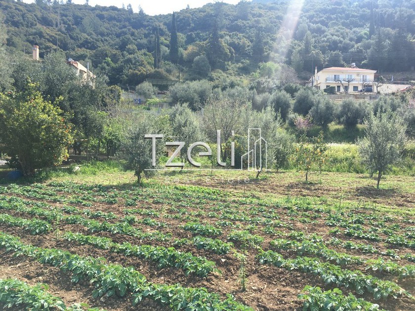 Land plot 1.500sqm for sale-Messatida » Mavromandila