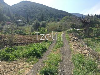 Οικόπεδο 1.500 τ.μ. για πώληση, Αχαΐα, Μεσσατίδα-thumb-2