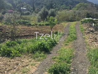 Οικόπεδο 1.500 τ.μ. για πώληση, Αχαΐα, Μεσσατίδα-thumb-4