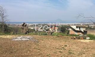 Οικόπεδο 1.500 τ.μ. για πώληση, Αχαΐα, Μεσσατίδα-thumb-5