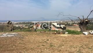 Οικόπεδο 1.500 τ.μ. για πώληση, Αχαΐα, Μεσσατίδα-thumb-8