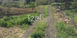 Οικόπεδο 1.500 τ.μ. για πώληση, Αχαΐα, Μεσσατίδα-thumb-16