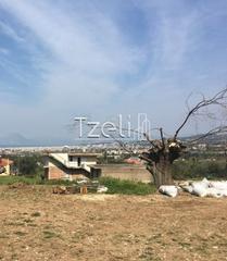 Οικόπεδο 1.500 τ.μ. για πώληση, Αχαΐα, Μεσσατίδα-thumb-19