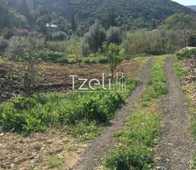 Οικόπεδο 1.500 τ.μ. για πώληση, Αχαΐα, Μεσσατίδα-thumb-24