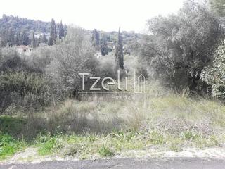 Οικόπεδο 1.074 τ.μ. για πώληση