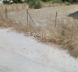Οικόπεδο 650 τ.μ. για πώληση, Αχαΐα, Πάτρα-thumb-20