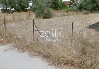 Οικόπεδο 650 τ.μ. για πώληση, Αχαΐα, Πάτρα-thumb-21