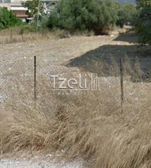 Οικόπεδο 650 τ.μ. για πώληση, Αχαΐα, Πάτρα-thumb-22