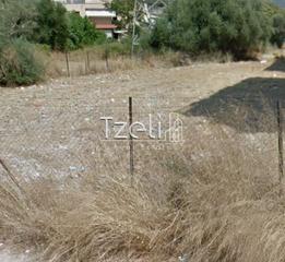 Οικόπεδο 650 τ.μ. για πώληση, Αχαΐα, Πάτρα-thumb-23