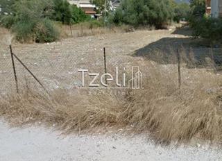 Οικόπεδο 650 τ.μ. για πώληση, Αχαΐα, Πάτρα-thumb-24