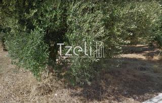 Οικόπεδο 403 τ.μ. για πώληση, Αχαΐα, Πάτρα-thumb-11
